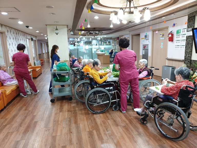 5월25일 완두콩 까기