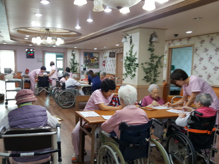 11월5일 코스모스색칠하기