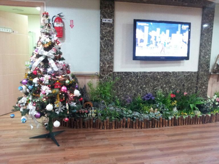 크리스마스 트리