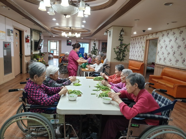 5월10일 완두콩 까기