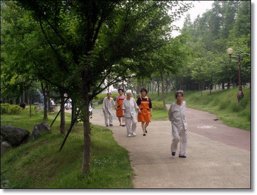 호수공원산책
