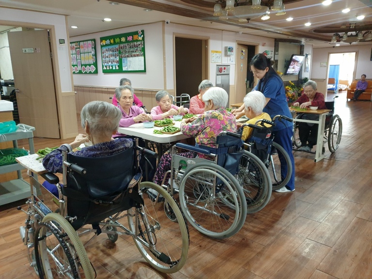 5월17일 완두콩 까기