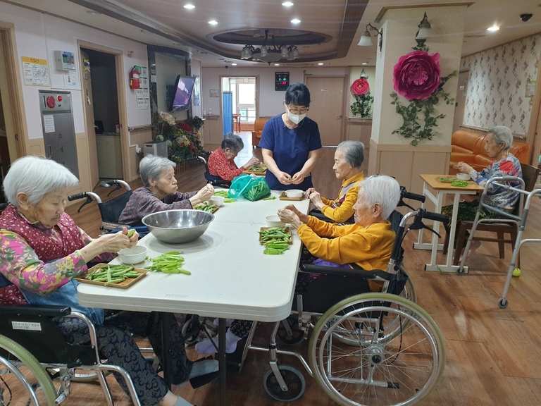 5월20일 완두콩 까기